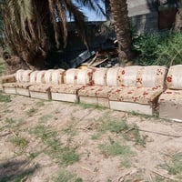 تخم • بمجال بسيط