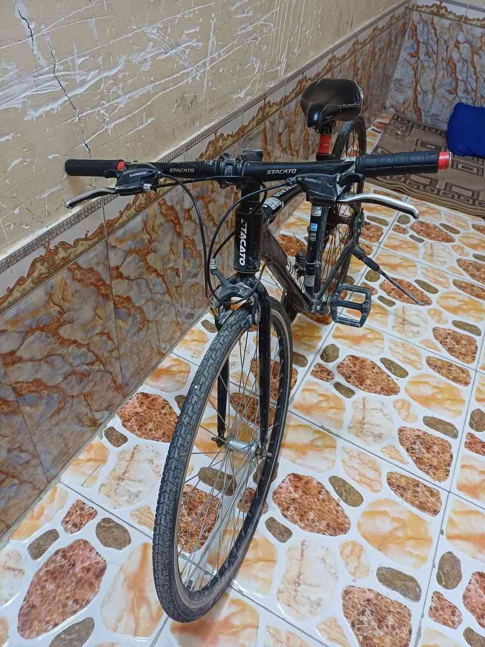 ل البيع نضيف
ناصريه 
السعر خاص


**إذا كنت صاحب هذا الإعلان وتريد حذفه لأي سبب، رجاءا أرسل رسالة إلى الدعم الفني**