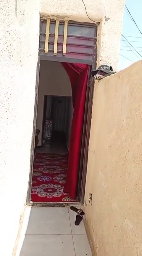 بيت خمسين متر لل ايجار نضيف كلش الي ايحب الاتصال على هذا الرقم 0770621489البيت واقع في منطقت السكلات ال 14


**إذا كنت صاحب هذا الإعلان وتريد حذفه لأي سبب، رجاءا أرسل رسالة إلى الدعم الفني**