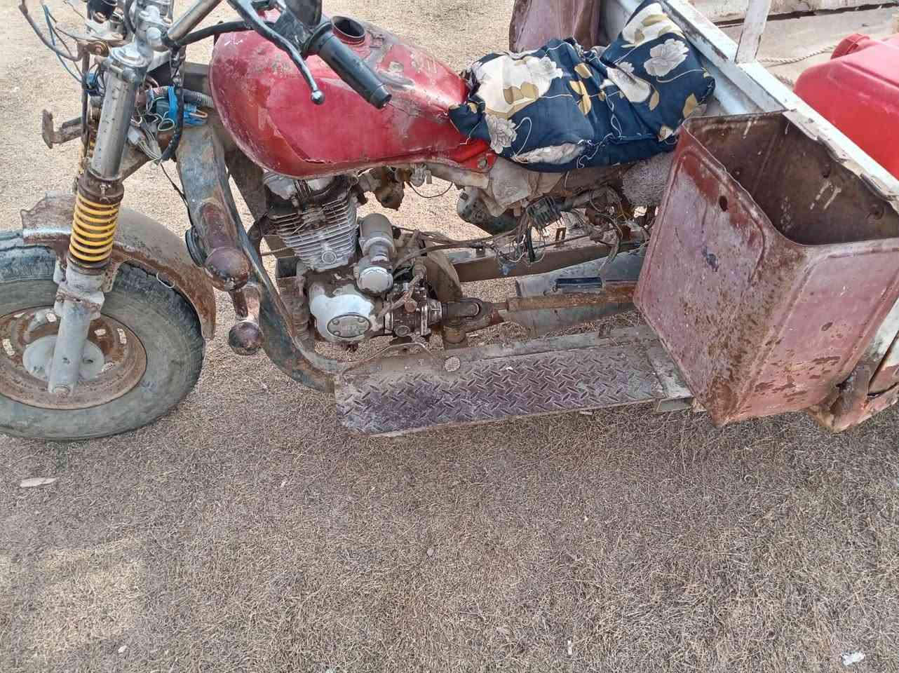 السلام عليكم مكلف بل نشر ستوته دايون شغاله مكانها لطيفيه شاخه 3سعره مناسب هذاه رقم صاحبه ***********
