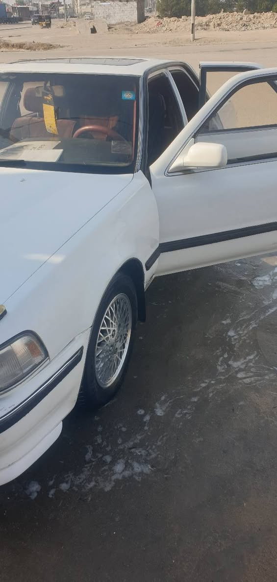 سلام عليكم سياره كرسته كصيف سياره كفاله من نقل جثه ومن ضربه بس بيها جمالق خلفي مثل ما وضح بل فيديو
مكينه وكير شرط وين ما تريد تفحص افحص حداده ٧٥ بل ميه سياره بسم ابن خالتي تحويل ثاني يوم سعر ٦٠ وبيها مجال عنوني البصره خور زبير نتصل وبيك خير ودلل 
***********
