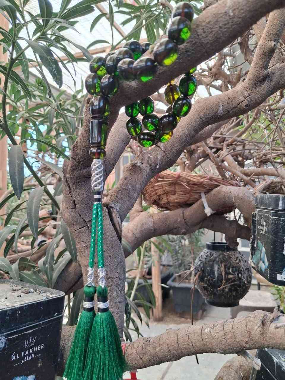 السلام عليكم.. بعد إذن إدارة الكروب والجمهور المحترم.. ✨​🥇 اذا مهتــــــــــــــــــم تفضــــــــــــــــــل خــــــــــــــــــاص.. ليش سمونا "امير النوادر"؟ لاننا لا نعرض الا كل شيء نادر وممتاز وما يتكرر!
📿 زيت زيتون صافي، قطعة فحلة وحيدة لا غيرها، بخراطة ملوكية راهية وحجم خرز 17 ملم على 15 ملم.
🎬 النظافة والجمال واضحين امامك بالصور والفيديو، عاين القطعة واحكم بنفسك على هيبة النوادر
السلام عليكم.. بعد إذن إدارة الكروب والجمهور المحترم.. ✨​🥇 اذا مهتــــــــــــــــــم تفضــــــــــــــــــل خــــــــــــــــــاص.. ليش سمونا "امير النوادر"؟ لاننا لا نعرض الا كل شيء نادر وممتاز وما يتكرر!


**إذا كنت صاحب هذا الإعلان وتريد حذفه لأي سبب، رجاءا أرسل رسالة إلى الدعم الفني**