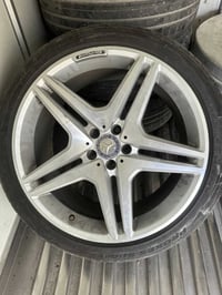 تخم ويل نجمه حجم 20 تو سايز جديد لا فطر لا عواج فقط تك واحد بي لحيم بس...