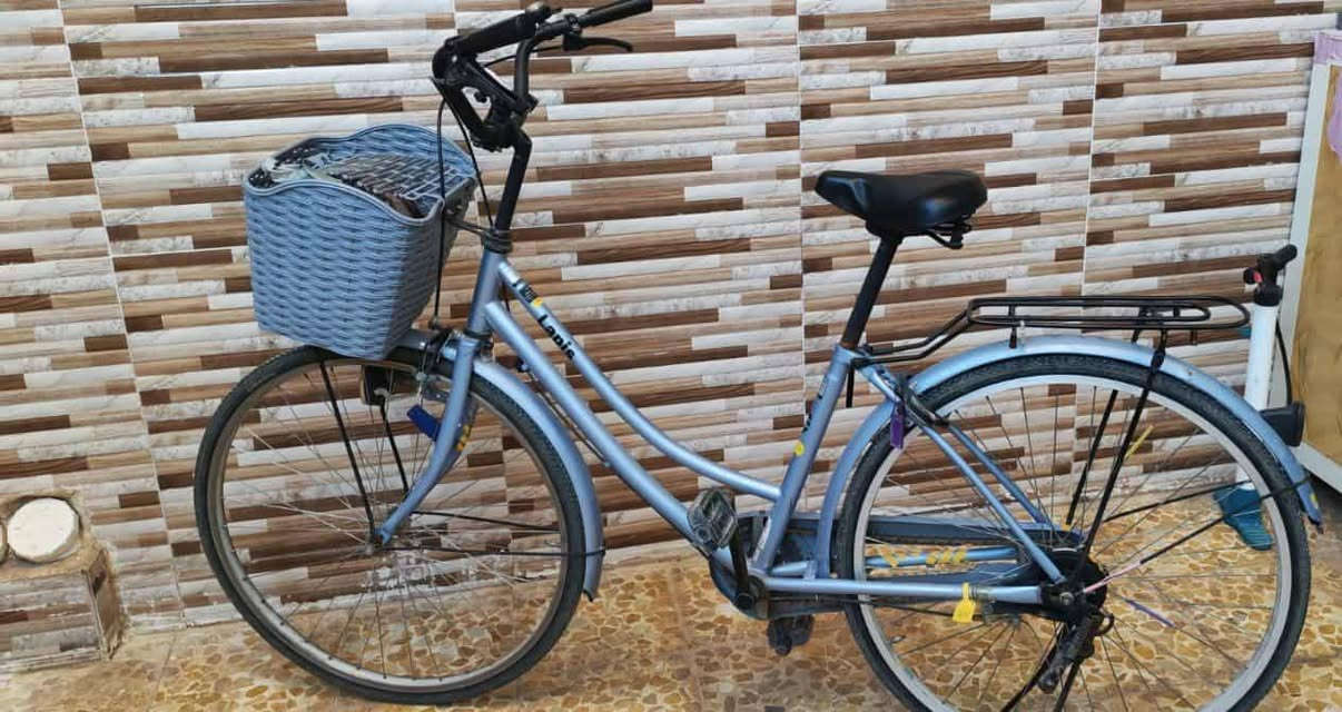 بايسكل عبدالحليم للبيع نضيف كلش حجم 26 الشراي يتصل على رقم
*********** واتساب فقط خبرني
