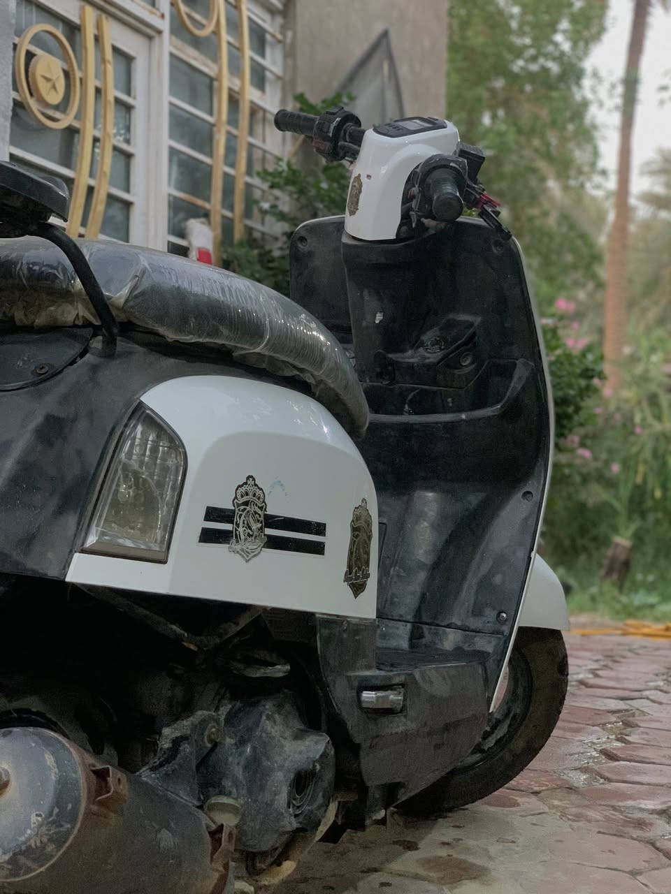 ماكس بوليس بلادية للبيع السعر550 وبيها مجال عوزها فقط بريك خلفي


**إذا كنت صاحب هذا الإعلان وتريد حذفه لأي سبب، رجاءا أرسل رسالة إلى الدعم الفني**