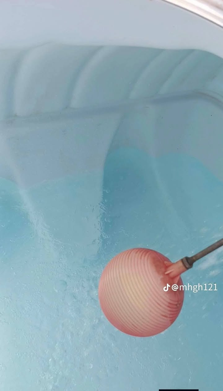 سلام عليكم ورحمه تعلن شركت المهندس عن وجود كادر اختصاص لتنضيف البيوت والتانكي الماء لبعادكم عن التلوث والمكروبات واسعار مناسبه داخل كربلاء فقط لتواصل ***********
