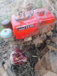 اخوان مكلف بالنشر .للبيع موطور  ينمر .ياباني .گاز .الحجم 60 السحب والد...