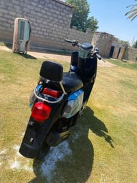 بوليس • موديل 13 • مكفوله