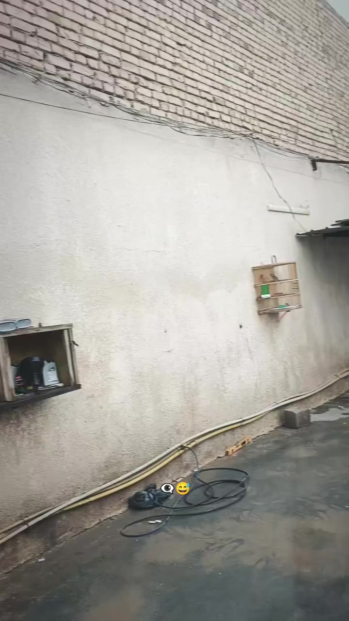 دراجه للبيع سعر ٨٠٠ اوراق سكنر


**إذا كنت صاحب هذا الإعلان وتريد حذفه لأي سبب، رجاءا أرسل رسالة إلى الدعم الفني**