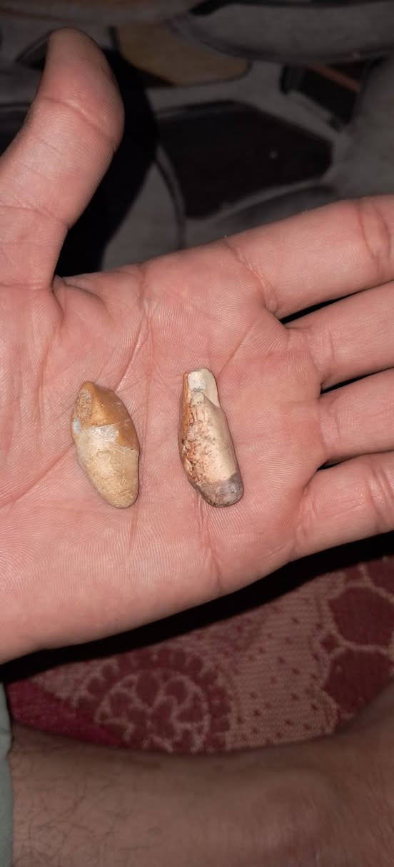 حجر منوع للبيع ***********
