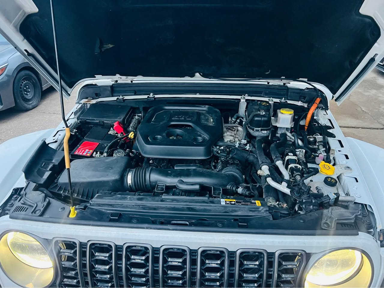 Jeep Wrangler Sahara 4XT (4WD) 2023
GAS & HYBRID & ELECTRIC 
مواصفات فوول سحاري
بنزين و هايبريد و كهربائي 
واحد جملغ خلفي مصبوغ و ارباك بس ستيرن طاك و مرجع بلادي
سعر 268 و مجال
عنوان / معرض عقرة 
*********** واتس آب موجود اكر, نينوى
