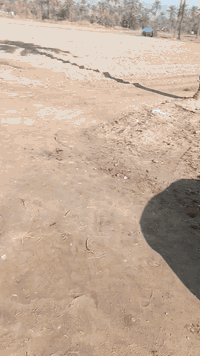 اليوم عرض جديد دونم للبيع طابو ملك صرف فى ابو غريب حميد شعبان يبعد عن ...