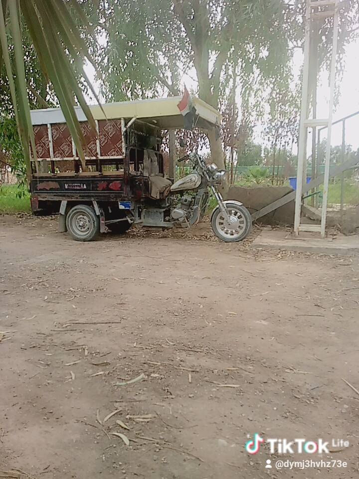 سلام عليكم شباب ستوته للبيع مكاني 
نجف  حي نداء سعر 1100 و ببه مجال ***********
