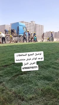 ثيل • ديالى