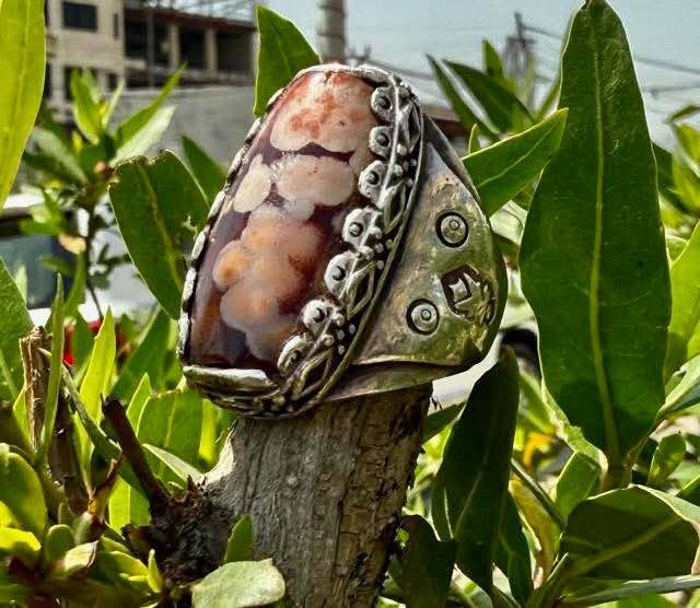 اللهم صلي على محمد وآل محمد الطيبين الطاهرين
لعيونكم جمال الداودي او السليماني الأحمر جمال بنكهه قديمه والاصاله لتواصل ع الرقم ***********
