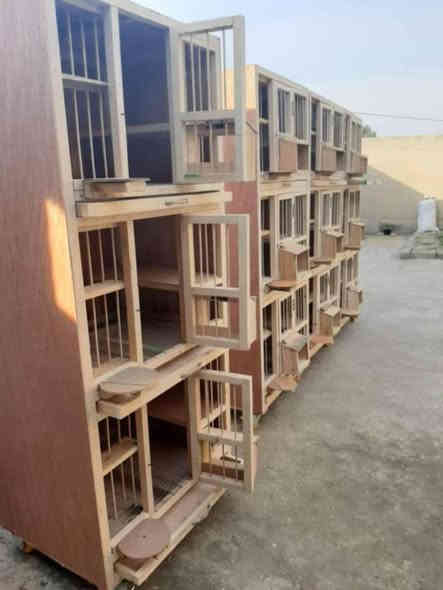 سلام وعليكم اخوان مستعدون للعمل كافت الاقفاص وخانات للتبزير جوة سوغ وتدللون ***********وتساب فقط
