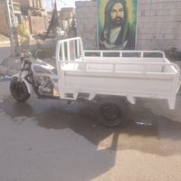 ستوته • مكفوله • فطر بسيط