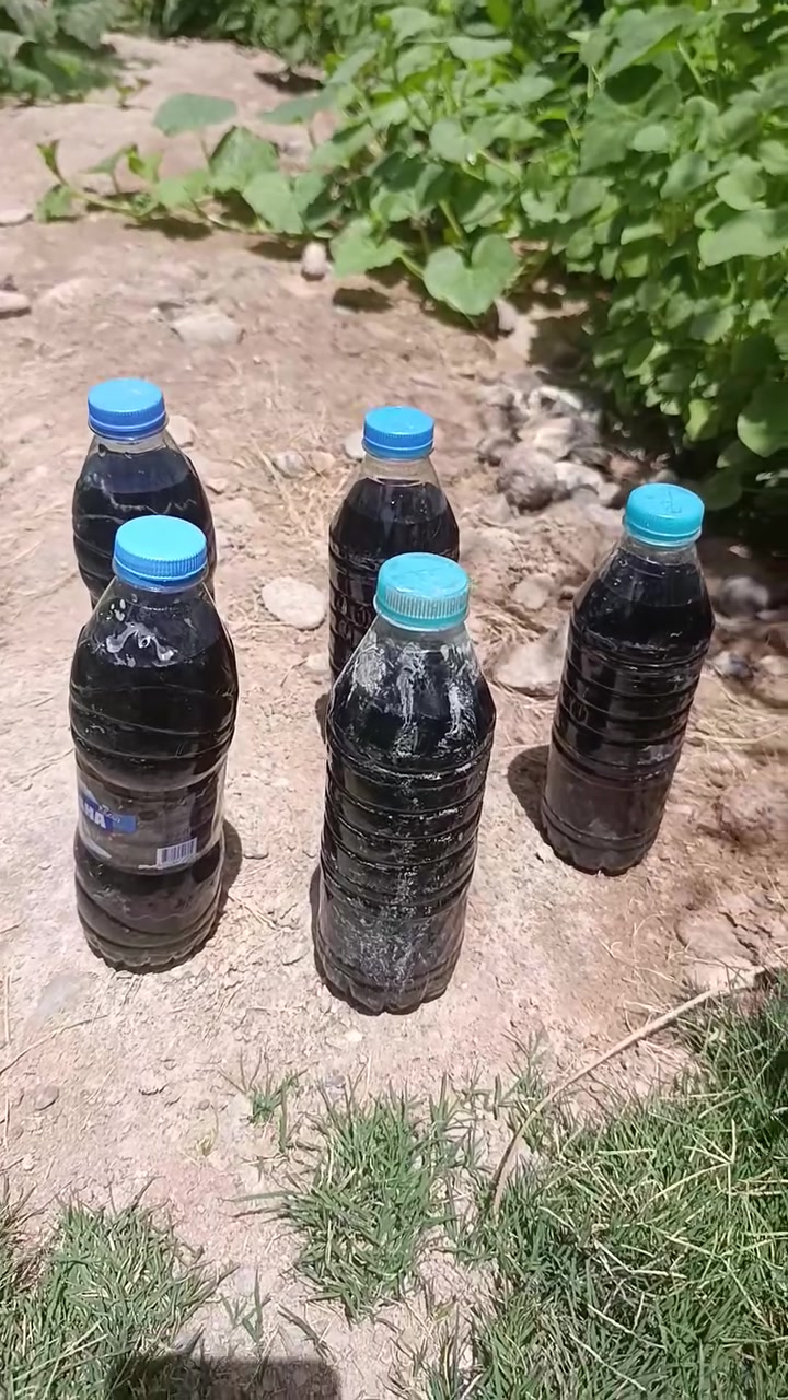 جرب وراح تدعيلي الله شاهد فعال ميه بل ميه يشتغل عل كل النبات حت النخال جميع توصيل موجود هوير مدينه خاص بني منصور 3فقط


**إذا كنت صاحب هذا الإعلان وتريد حذفه لأي سبب، رجاءا أرسل رسالة إلى الدعم الفني**