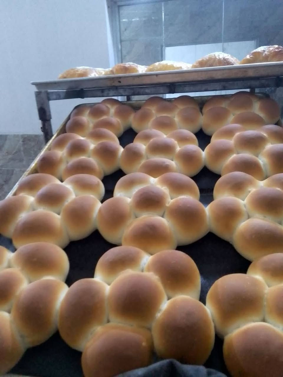 سلام عليكم خلفه صمون وجرك وفطائر وكب كيك ودونات وشعير وكرواسون بحاجه الى عمل تصال  على الرقم ***********
