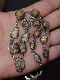 كلاده • ١٤ ملوي • زوعه حيه