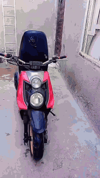 سلام عليكم سكنس جبلي للبيع بصره زبير رقم ***********
