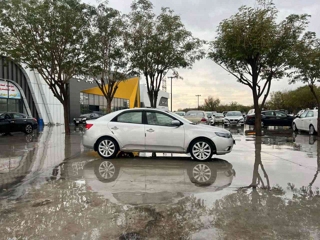 کیا سیراتۆ 2012. گیر تۆماتیک. ٥ پارچەی بۆیاخە بئ ناوگرتن و لیدراو. سۆنەریم داناوە. کالبوونەوەی نیە. بەشەردی گیر و مەکینە و تبرید. مواسەفات (سلایت و ABS و حاسە و ڤۆلیوم و بلاجکتۆر و ویل ١٧ و ….هتد). تاییە و سەدری تازەیە. سەیارەیەکی زۆرپاک و مالی دۆست. سەنەوی و رەقم تازەیە بەشەردی تحویل و غەرامە. سعر فرۆشتن ٨٤ گەلا. شوین. کلار

ژم 
***********

واتس اپ و ڤایبەری لەسەرە

*********** كالار, السليمانية
