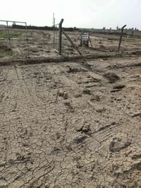 دونمين ونصف للبيع مسيجات  الجبهه 56 قرار 117 الكرغوليه  منطقة اجميله ت...