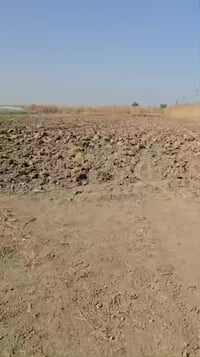 الحركاوي الشمالي • ٨ دونم • سند ٣٧