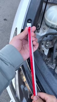 زنون • عدسة بلاجكتور • لد اشارة