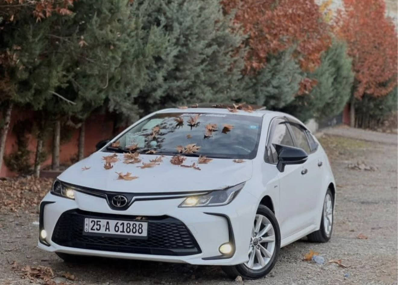 تويتا كرولا هايبرد 2025 رقم كركوك سيارة كلين ماشي13الف شرط تحويل و كالة دفتر بانزين سعر140 وبيها مجال رقم موبايل ***********
