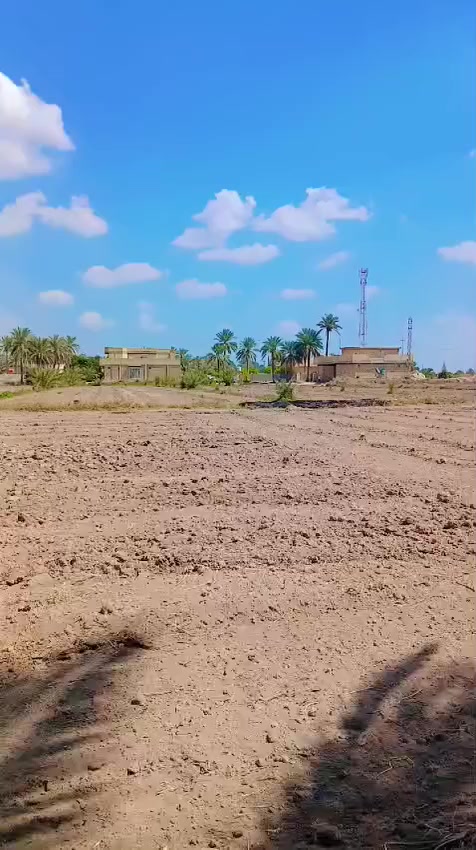 بسم الله الرحمن الرحيم 
تتوفر  وقطع  سكنيه مختلفه #للبيع #زراعي تحويل بسم المشتري 
التعامل مع صاحب الارض مباشر
 تصلح مزارع او سكن  بأسعار مناسبه الموقع في محافظة #بابل #الحله سند25 تحويل بأسم المشتري مباشر 
توجد قطع مساحه مختلفه @للبيع في بابل 
@يوجد دوانم للبيع
@يوجد نص دونم 
@يوجد  مساحه 1000متر 
@يوجد مساحه 750متر
@يوجد المساحه 500 متر
@يوجد المساحه  250 متر 
ويوجد دوانم تصلح مزارع  و سكن طريق حله نجف نزله الامام بكر  ابن علي عليه السلام اوتنزل الى مقام نبي الله ابراهيم الخليل خلف المقام  خلف المقام بواحد كيلو #السعر  اوباقي التفاصيل على  الخاص  اوالاتصال 
  ***********  اتصال 
***********  واتساب
#الجميع_عام_ارض_زراعي_للبيع
#الجميع_عام_اراضي_زراعي_للبيع_حله_بابل_دوانم_للبيع_الج #مزارع #دوانم#بابل_حله #زراعي#@الجميع@المتابعين@الاصدقاء
