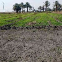 مساء الخير عندي 3 دونم ملك صرف للبيع الأرض قرب سبع البور بالضبط السعر ...