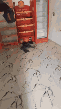 السلام عليكم عندي غراض محل مع ونج كامل مع ملحقاتة مع حادلة عوزهة بس تانكي مال بانزين للاستفسار الاتصال على الرقم ***********
