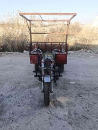 ستوته • بدون أوراق • فلوجه جسر الثالث