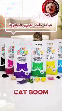 🐾✨ عـــرض خــاص على رمل القطط – كات بووم 🐱 ✨🐾  رمل فائق الامتصاص و بدو...