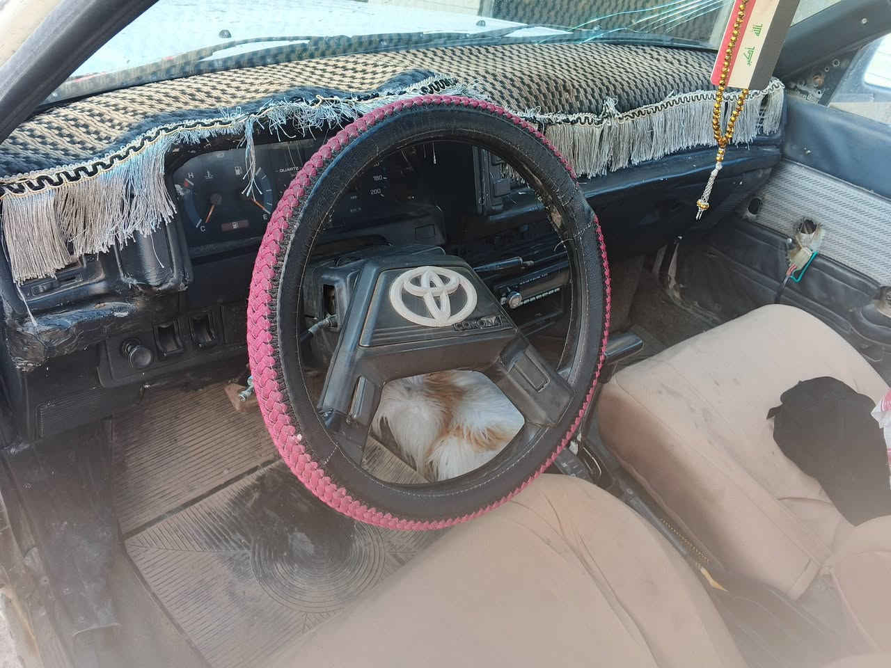 سلام عليكم شباب كرونه موديل 85للبيع ماندل راعيه بيه سنويه مكفوله حكمومه عشارين سعره 18بي مجال كهربايات كله شغاله سياره حلوه ربع ماتصرف عليه اليحب طب خاص مكان تكريت


**إذا كنت صاحب هذا الإعلان وتريد حذفه لأي سبب، رجاءا أرسل رسالة إلى الدعم الفني**