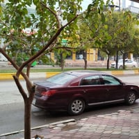 افلون • ٢٠٠٩ • رقم دهوك