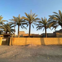 📢اعلان رقم (17)  ✅عليكم السلام    مساحه 600 متر ✅ بيت بيهه مساحه بيت م...