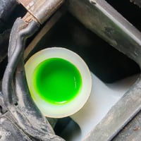 ماجسته • اوراق منفيس • اخضر