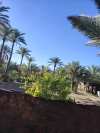 الحسينية العسافيات • ١٣٠٠م • صاحب سند