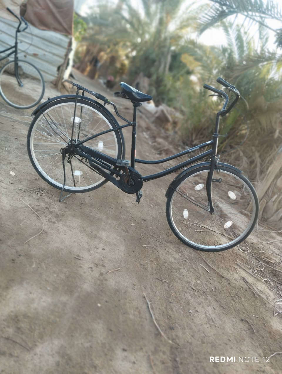 باسكل البيع السعر 75وبي مجال المكان الشاميه***********
