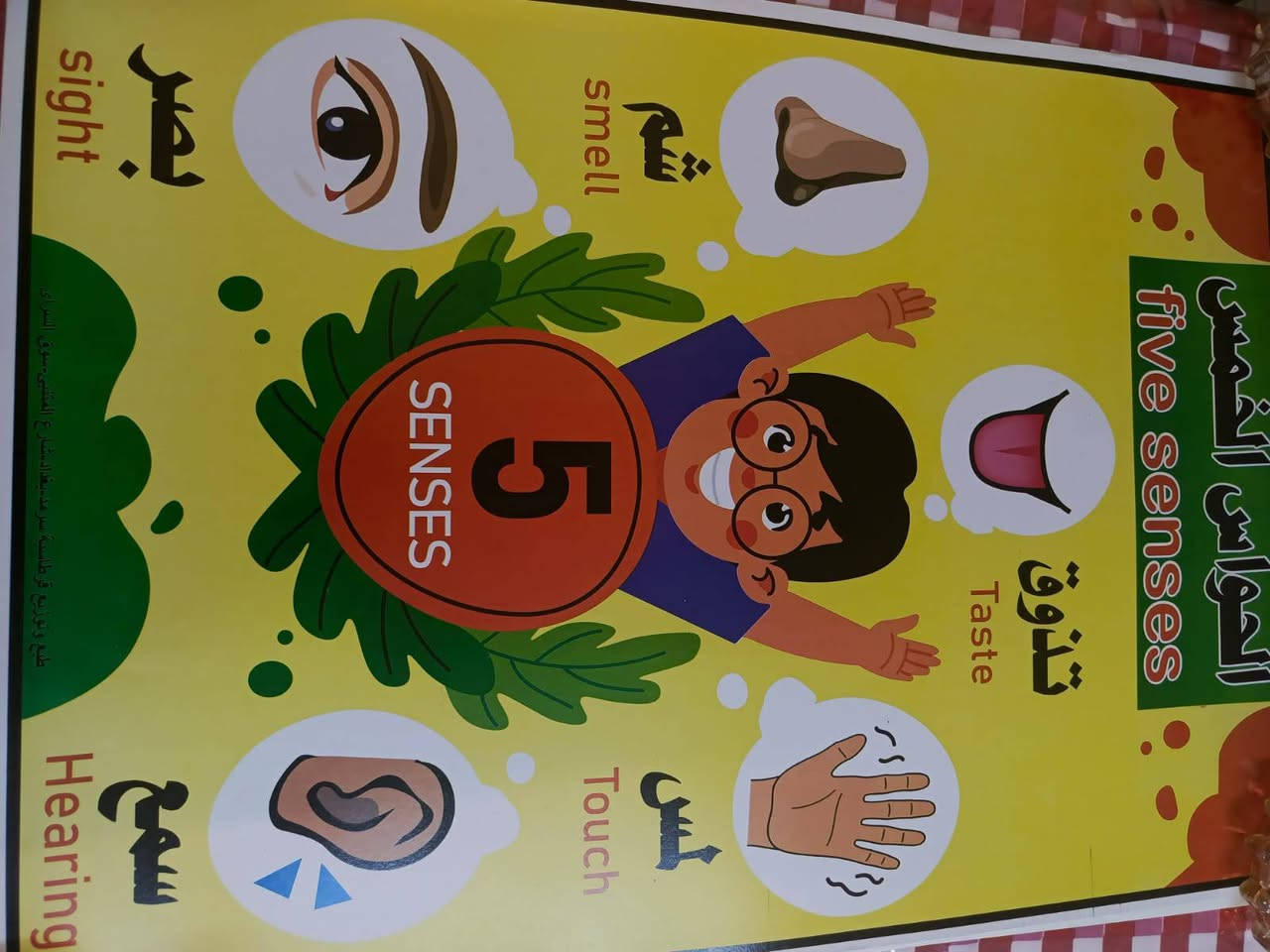 #الجميع


**إذا كنت صاحب هذا الإعلان وتريد حذفه لأي سبب، رجاءا أرسل رسالة إلى الدعم الفني**