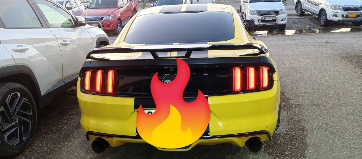 موستنك خليجي موديل 2015 كفالة محرك اربعه تيربو *********** مكان النجف الاشرف الرقم اربيل انكليزي
