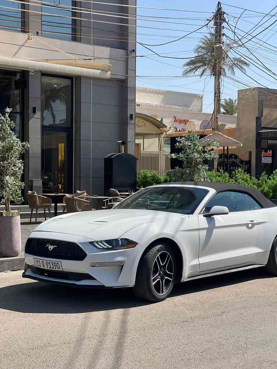 موستانك بريميوم ايكو بوست كشف2023
مكينه 4 سلندر تيربو كير 10 نمر

ماشيه ب امريكا 32 الف ميل وهنا صارت 33 الف فقط
السياره جديده جدا ونظيفه 

مواصفات البريميوم

قماره كشف والجلد بعده بلادي

كيجات 7 اللوان

شفتات ستيرن

كشنات كهرباء وجلد

كشنات تدفئه تبريد

كشنين كهرباء 

تدفئه ستيرن

ترحيب بالمري

رادار امامي وخلفي وجوانب وتحديد مسار

حساس خلفي

شاشه كبيره بلاديه

عليها تخم تاير جديد

حادثه بسيط تفاصيله بالخاص

السعر 185 وبيه مجال بسيط 

مكانه السيديه 
رقمي ***********
