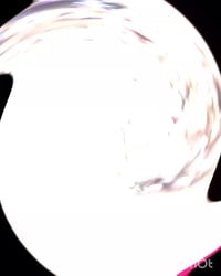 حي المنتظر • 200م • شارع المدارس