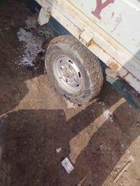 تواير جوبلس • زوج • شطره