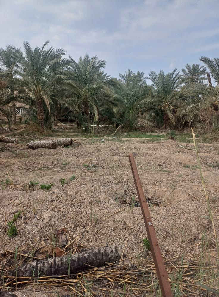 ارض للبيع مساحة 1150متر طابو عراقي سهم تحويل في الاسم شارع تبليط ٩متر وقريب للطريق السياحي ابوالخصيب حمدان ***********# نسستقبل كافه العروض لديكم أعزائي ابو الخصيب, البصرة
