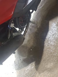 صالنصه مال ثعلب لبيع رياضي او مراوسه بلادي  07775770499