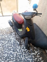 عصفوريه • فحل • كلش شغالة