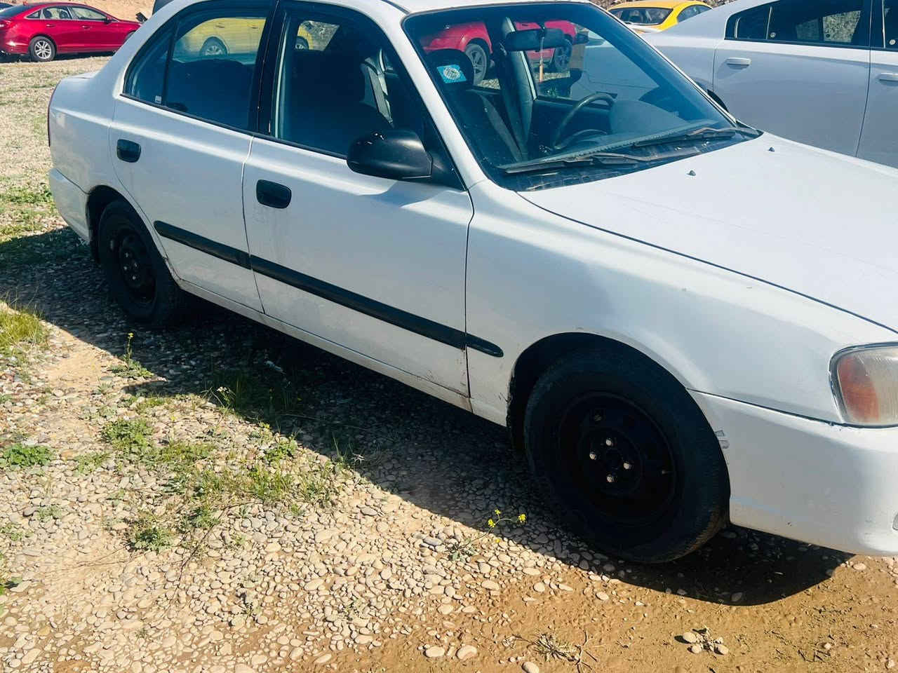 اكسنت فيرنا
موديل 2002
رقم بغداد ألماني بأسمي
السعر ٥٣ورقه بيه مجال
المكان واسط الصويره
رقم الهاتف ***********
***********
